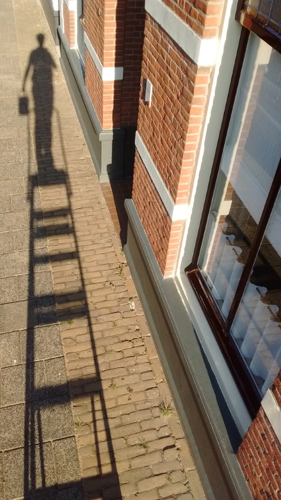 Schilder Zaandam, Jolande den Braber aan het werk op een ladder